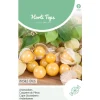 Horti Tops Moestuin>Ananaskers Peruviana