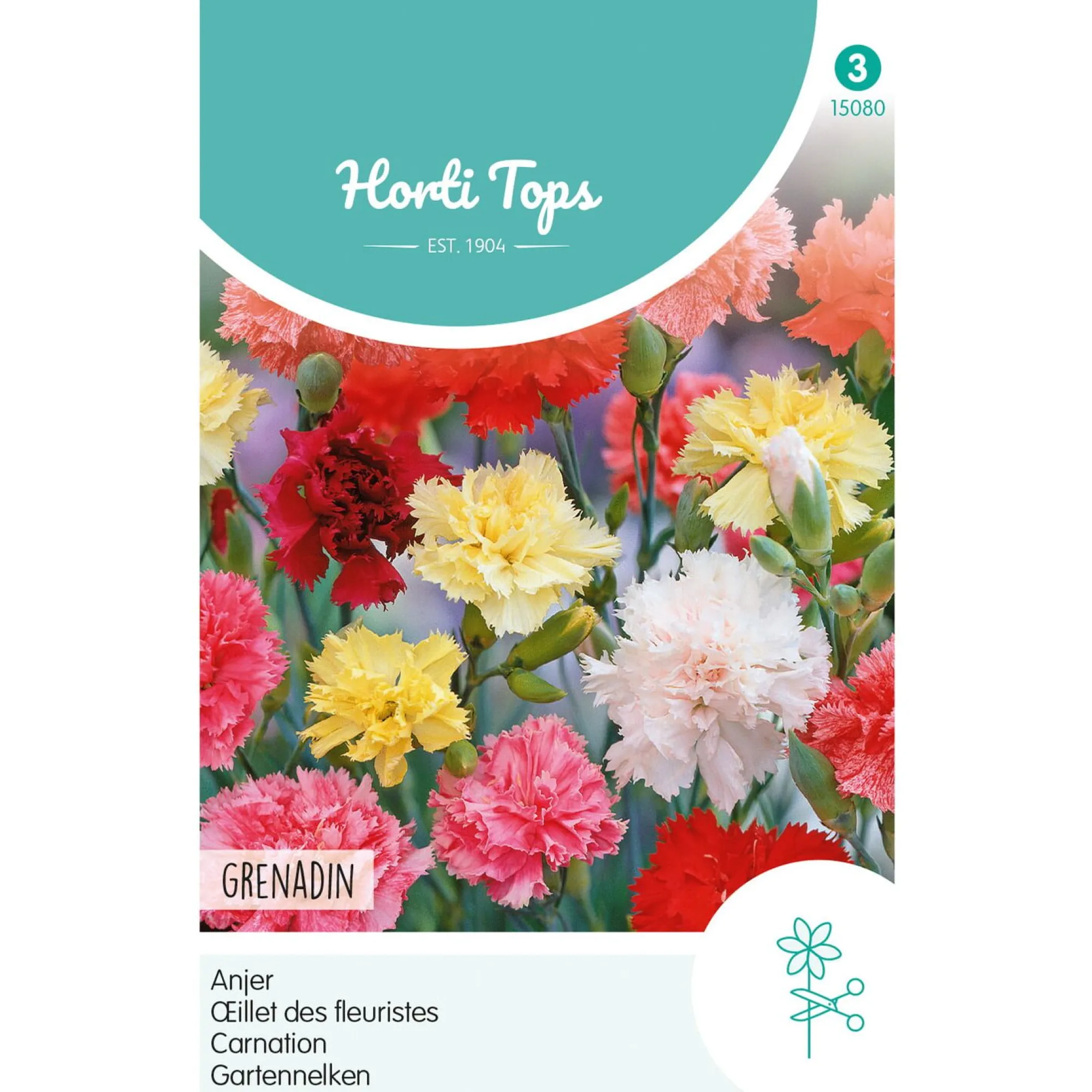 Horti Tops Moestuin>Anjer Grenadin mix