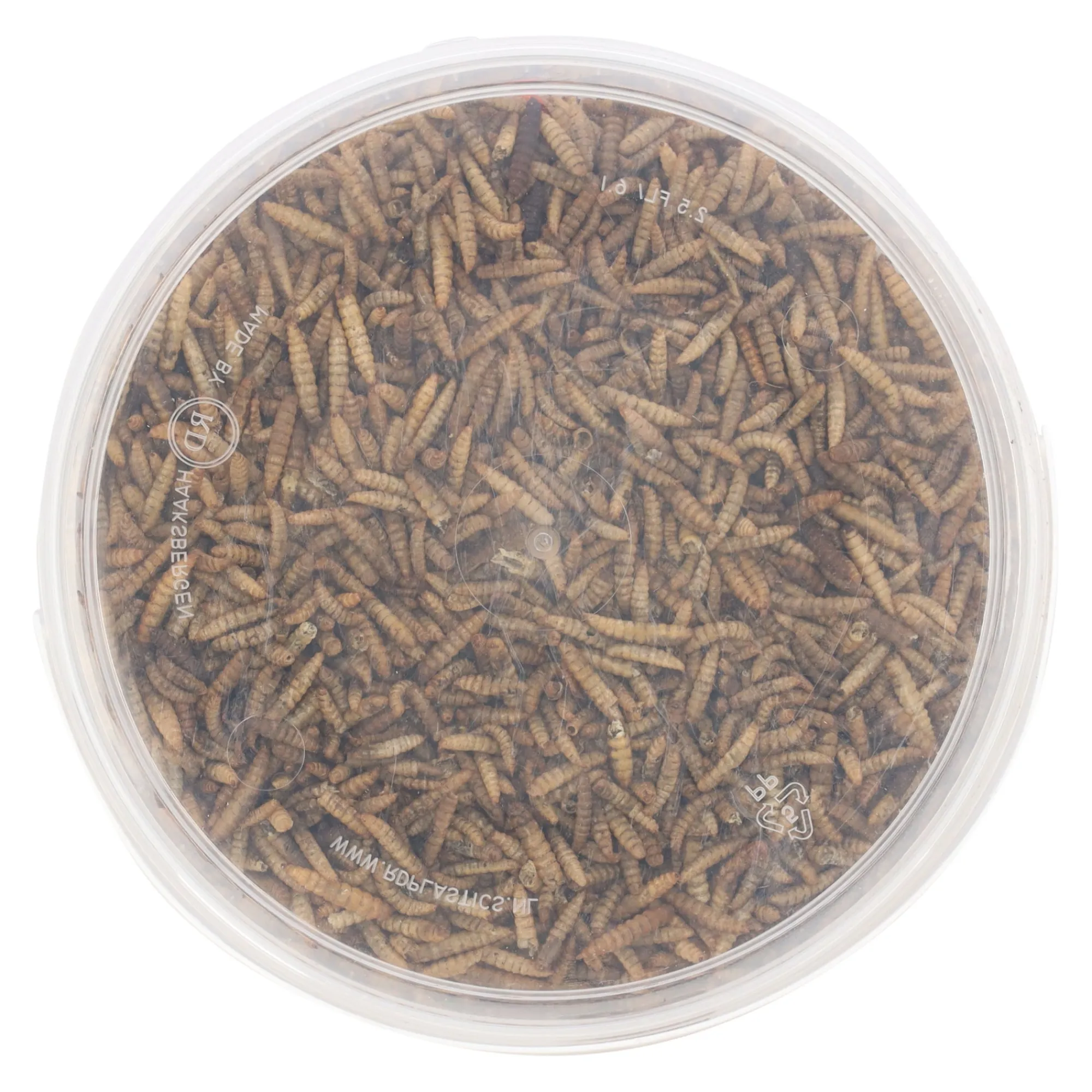 Smulti Vogelvoer>Black soldier flies 3L