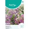 Horti Tops Moestuin>Boerenochidee Angel Wings