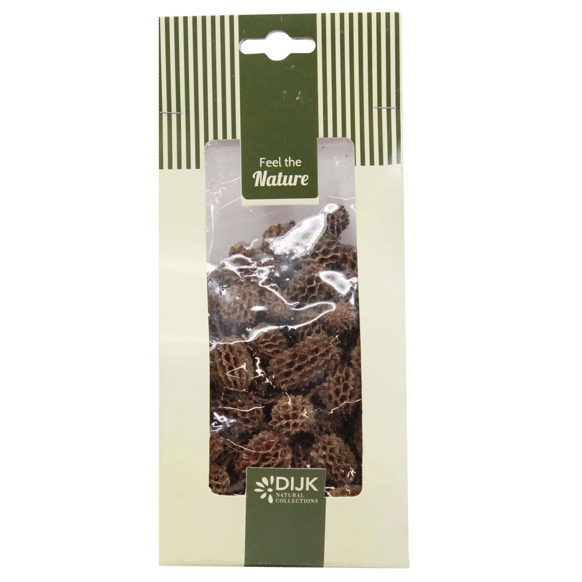 Natural Collections Woondecoratie>Casuarina naturel 100g
