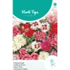 Horti Tops Moestuin>Chinese anjer Mix