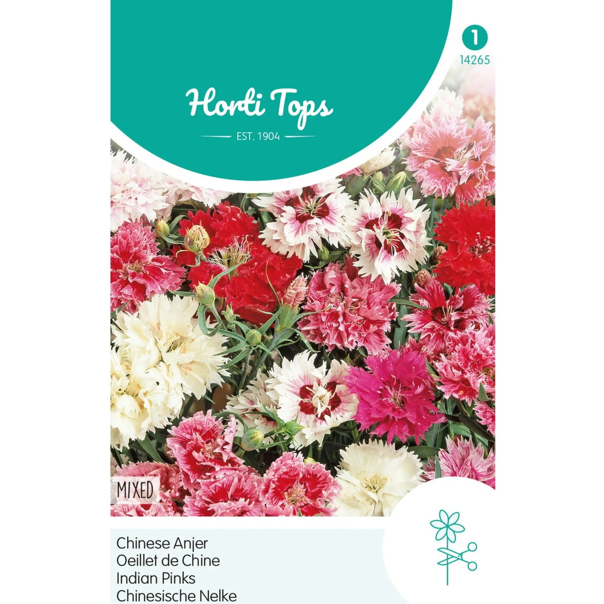 Horti Tops Moestuin>Chinese anjer Mix
