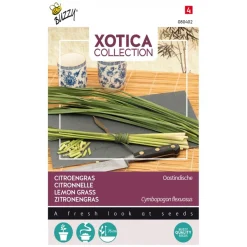 Buzzy Moestuin>Citroengras