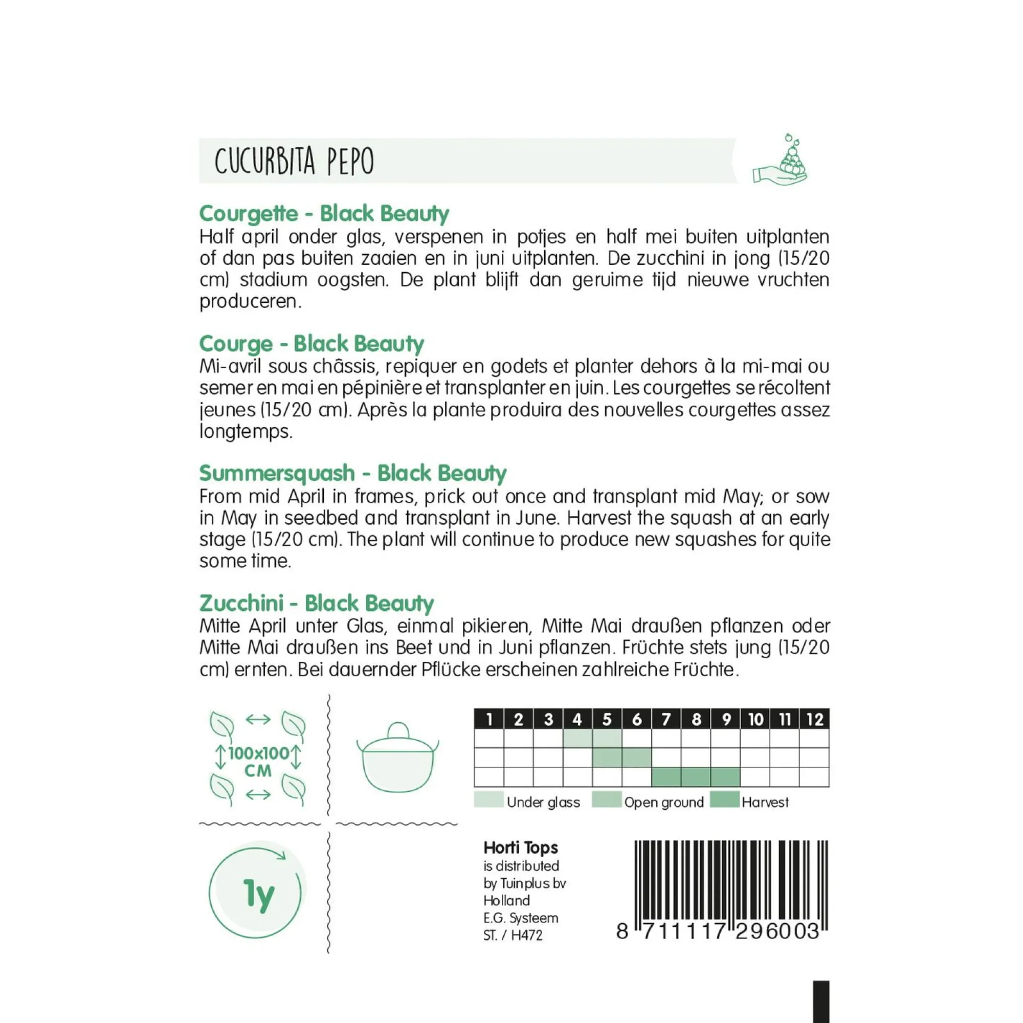 Horti Tops Moestuin>Courgette Black Beauty