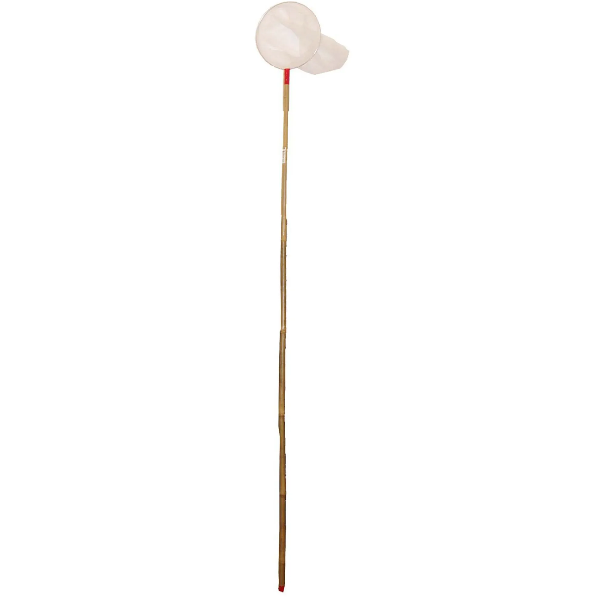 Gebr. de Boon Vijver>Dafnianet 19cm