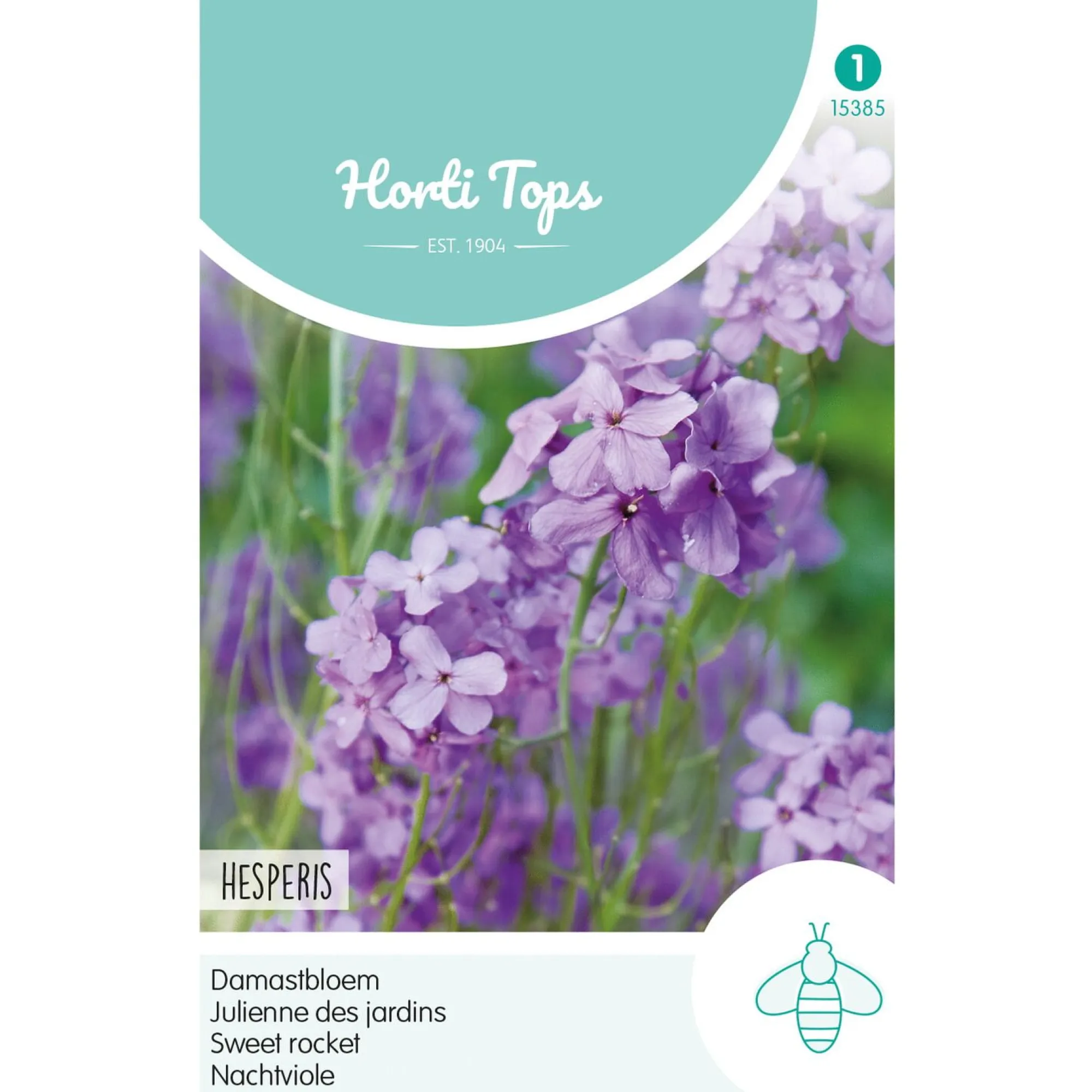 Horti Tops Moestuin>Damastbloem violet