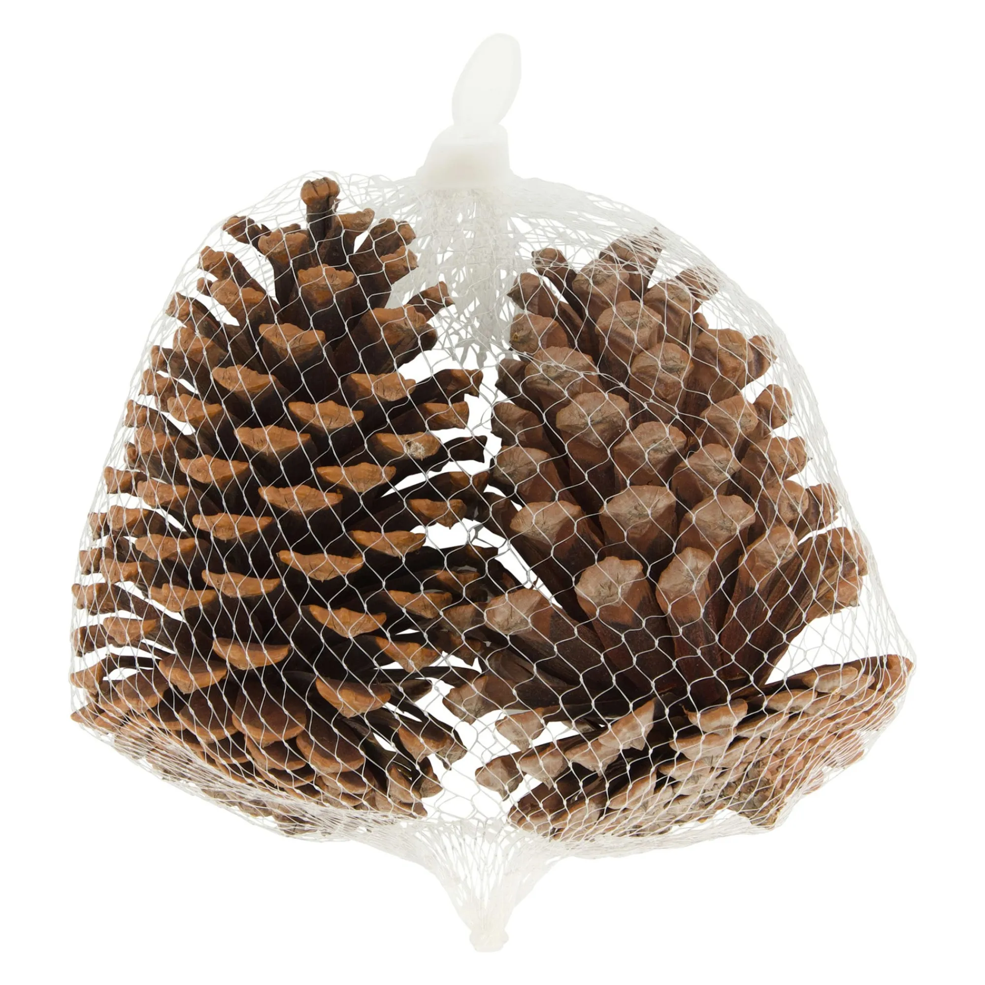 Natural Collections Kerstdecoratie>Dennenappel natural 13 x 13 x 8 cm 2st