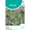 Horti Tops Moestuin>Dropplant