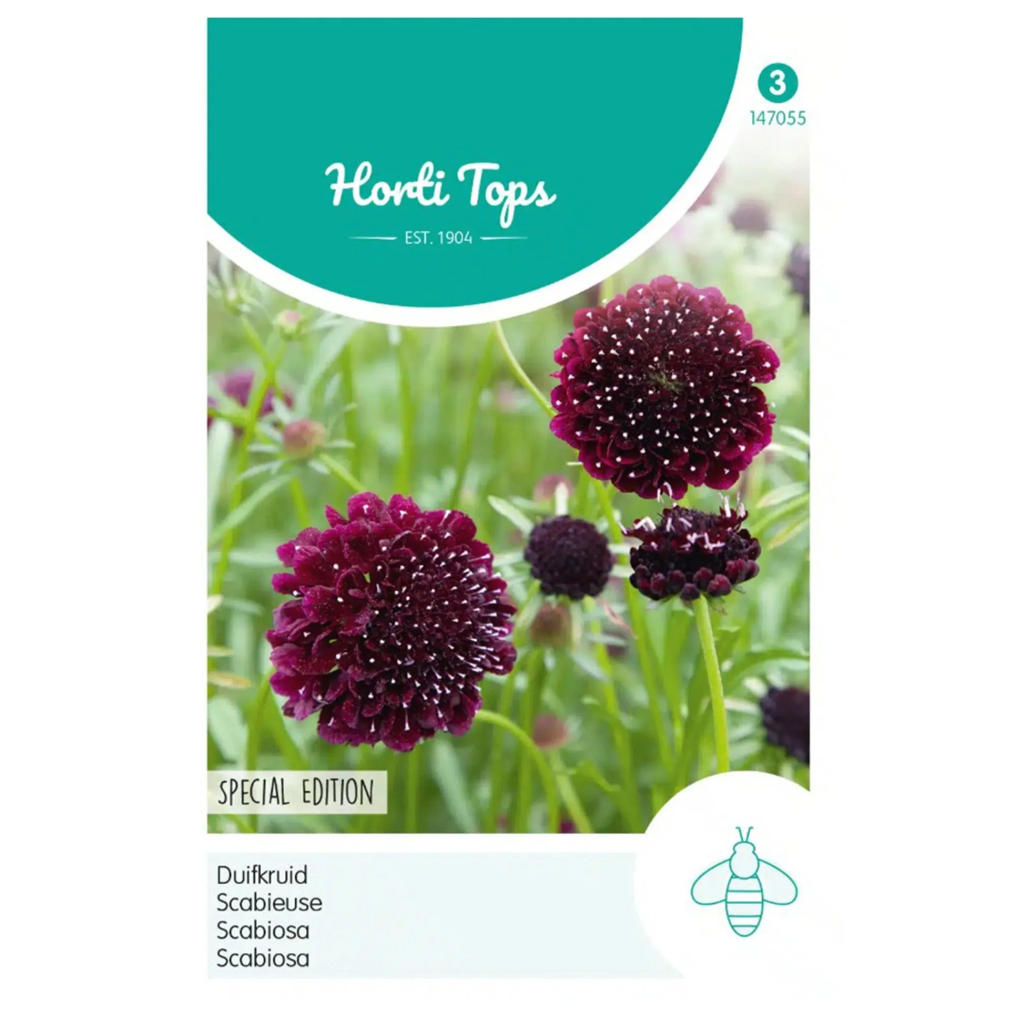 Horti Tops Moestuin>Duifkruid diep donkerpaars