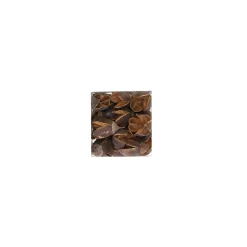 Natural Collections Woondecoratie><noscript><img width=