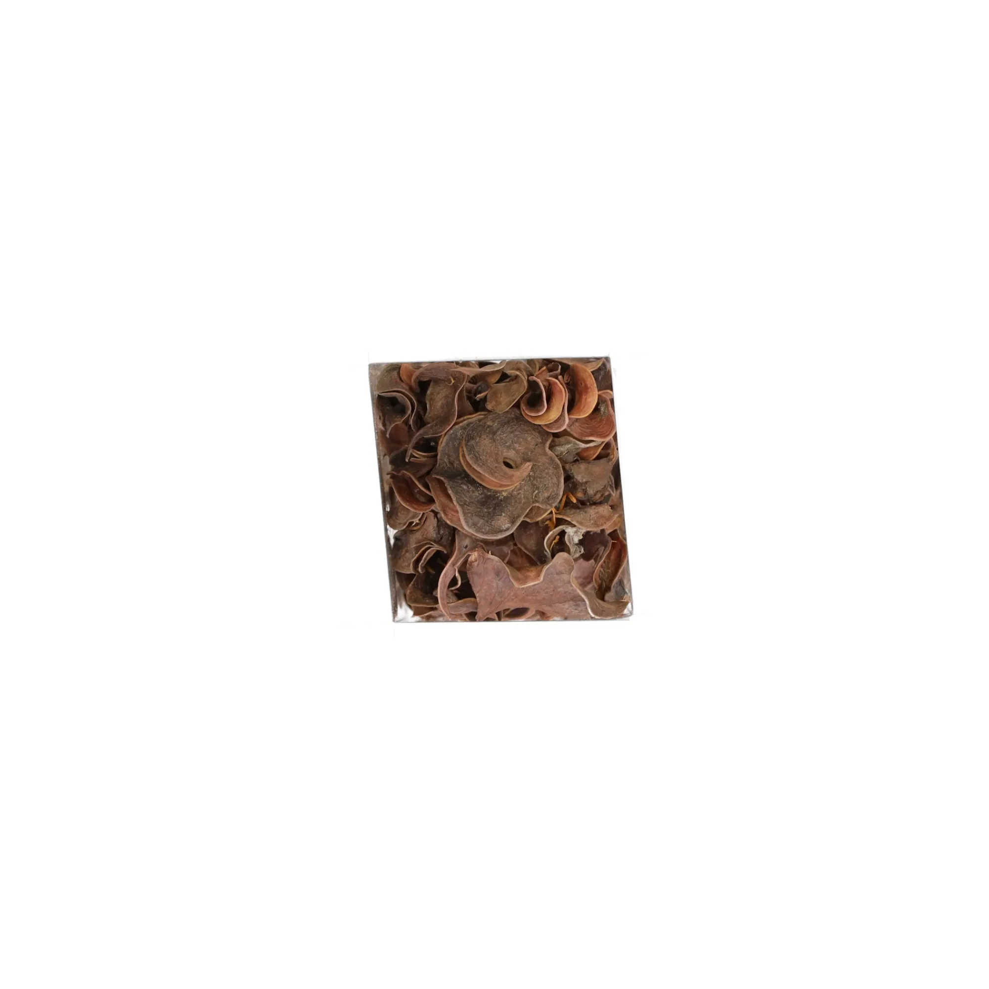 Natural Collections Woondecoratie>Exotische mix natuur 6 x 6 x 14 cm 6 assorti