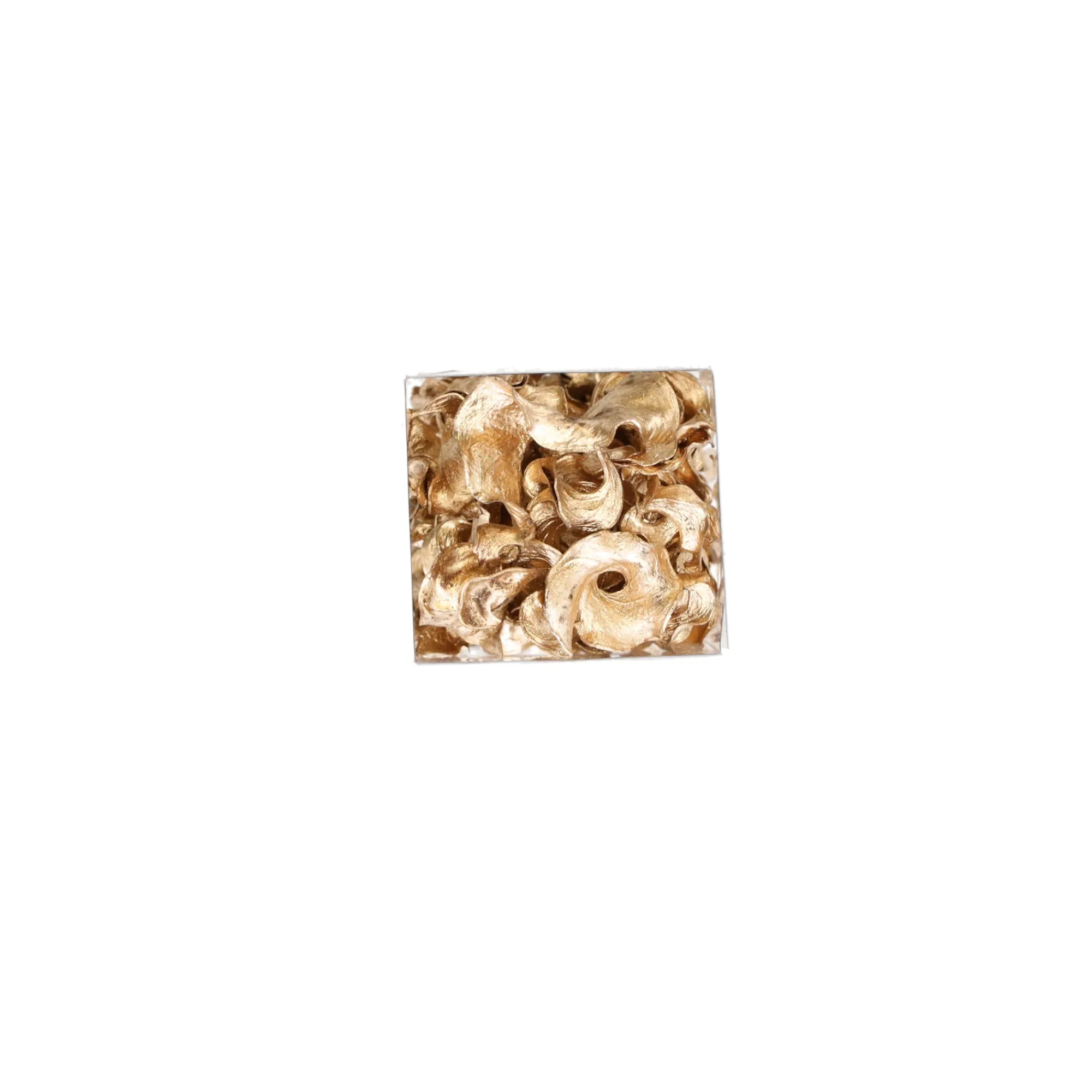 Natural Collections Woondecoratie>Exotische mix natuur goud 6 x 6 x 14 cm 6 assorti