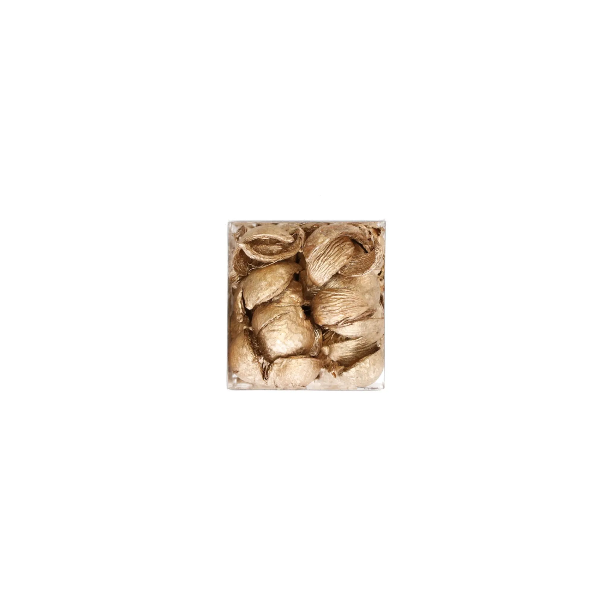 Natural Collections Woondecoratie>Exotische mix natuur goud 6 x 6 x 14 cm 6 assorti