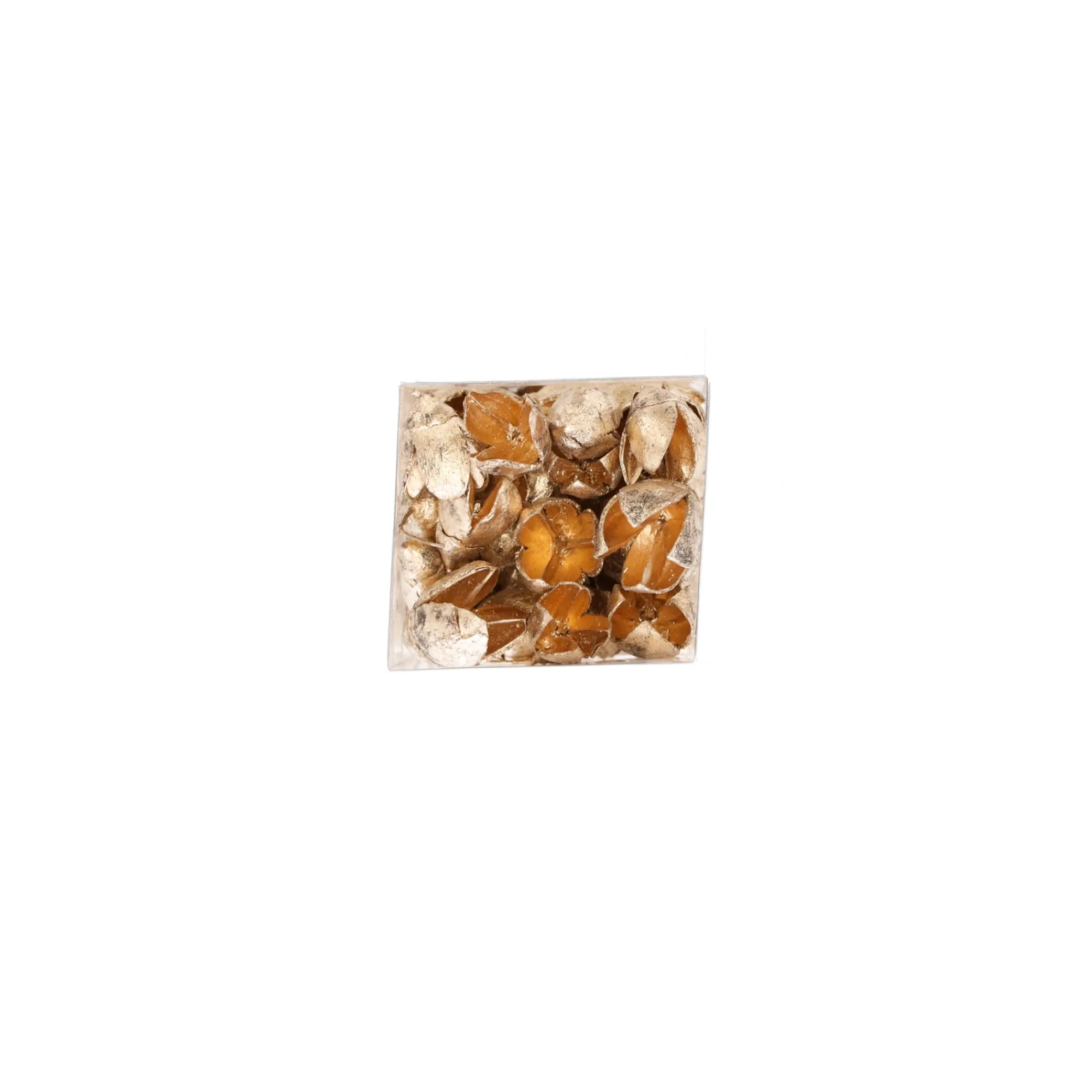 Natural Collections Woondecoratie>Exotische mix natuur goud 6 x 6 x 14 cm 6 assorti