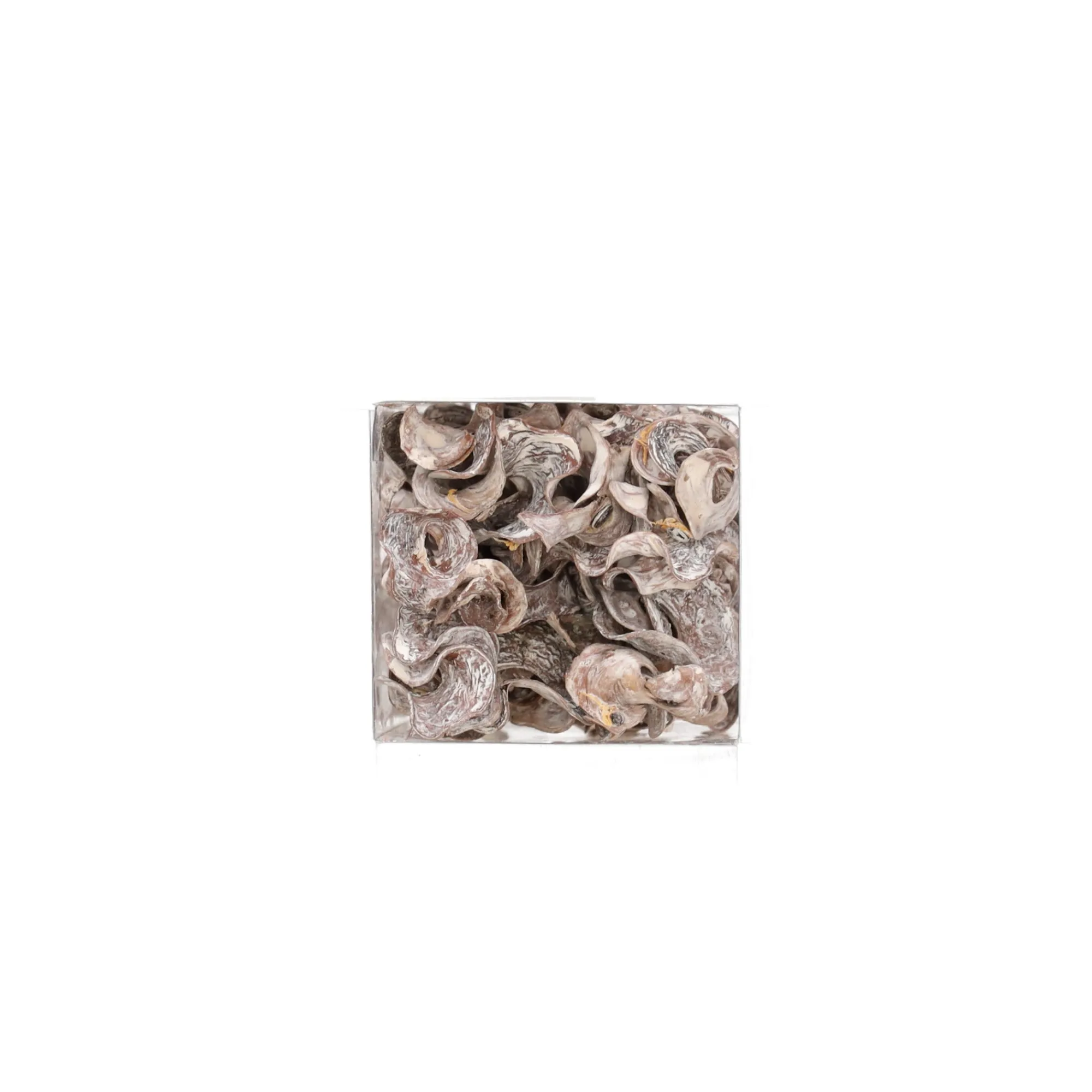 Natural Collections Woondecoratie>Exotische mix natuur white-wash 6 x 6 x 14 cm 6 assorti