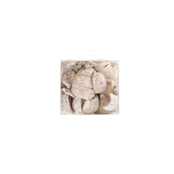 Natural Collections Woondecoratie><noscript><img width=