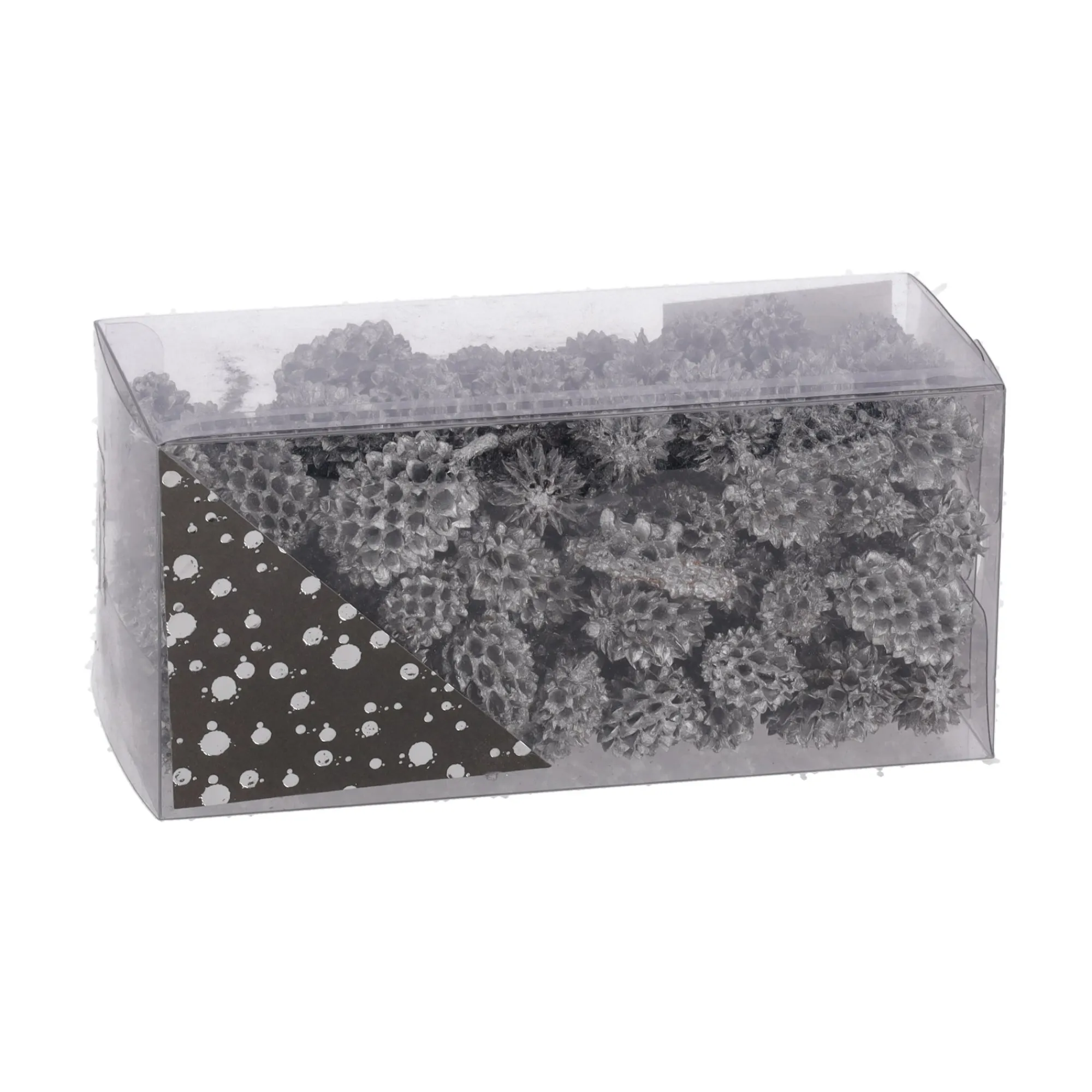 Natural Collections Woondecoratie>Exotische mix natuur zilver 6 x 6 x 14 cm 6 assorti