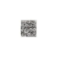 Natural Collections Woondecoratie><noscript><img width=