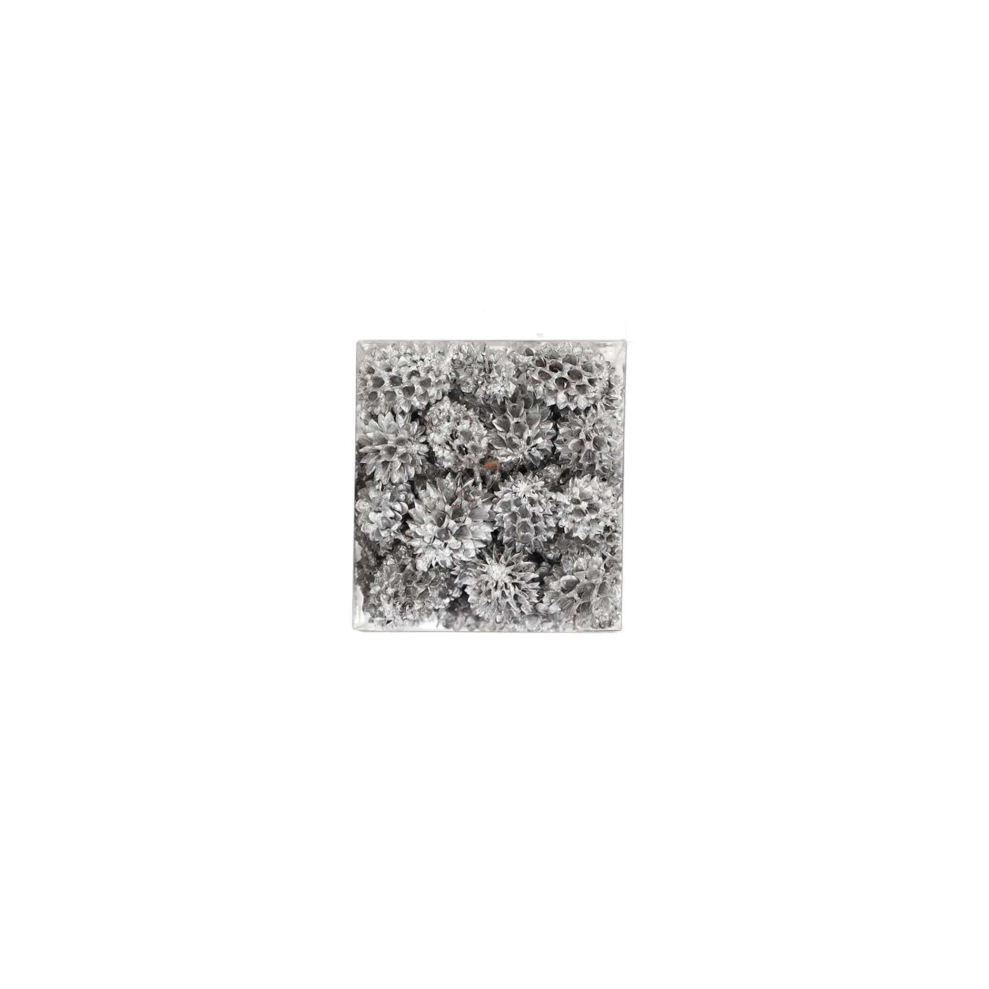 Natural Collections Woondecoratie>Exotische mix natuur zilver 6 x 6 x 14 cm 6 assorti