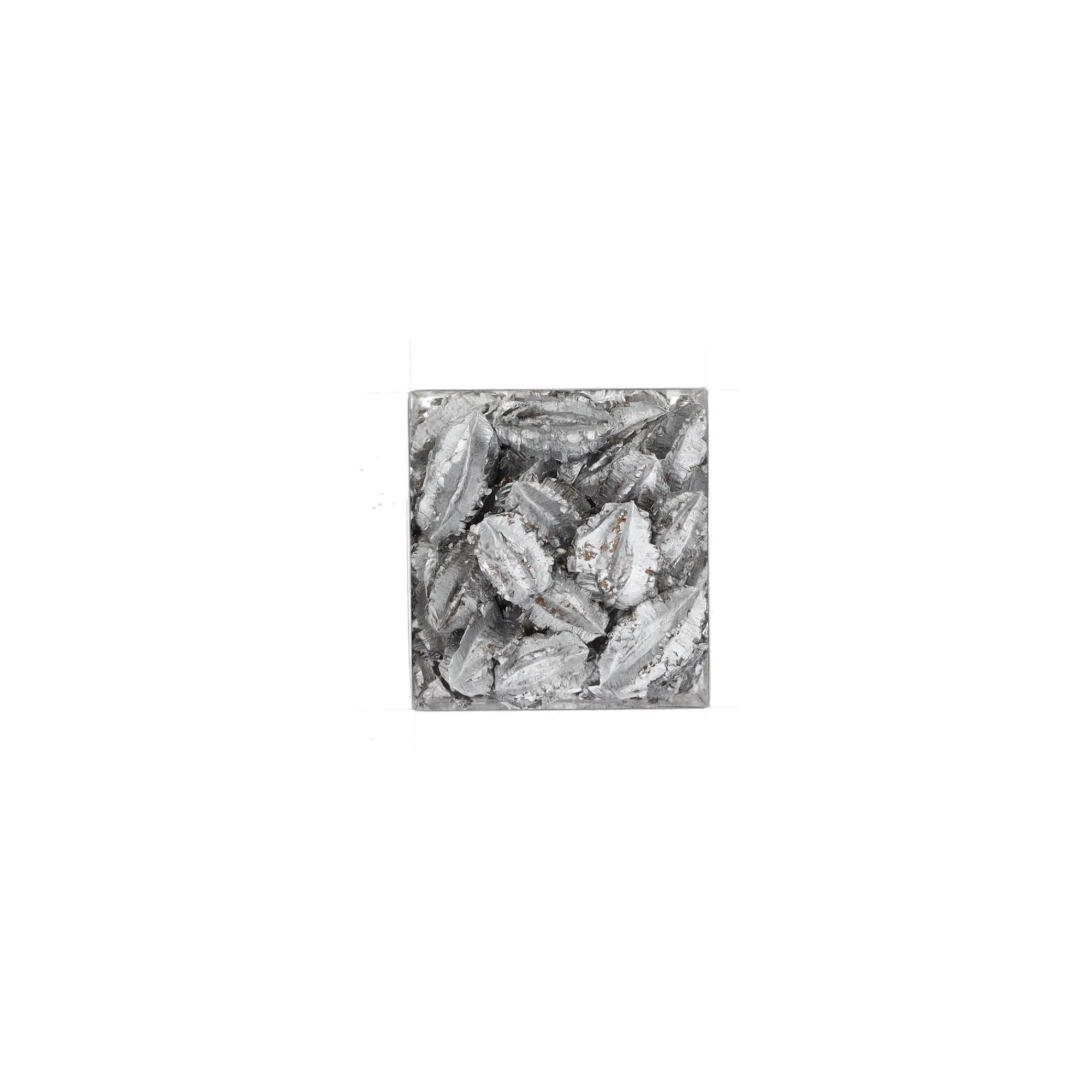 Natural Collections Woondecoratie>Exotische mix natuur zilver 6 x 6 x 14 cm 6 assorti