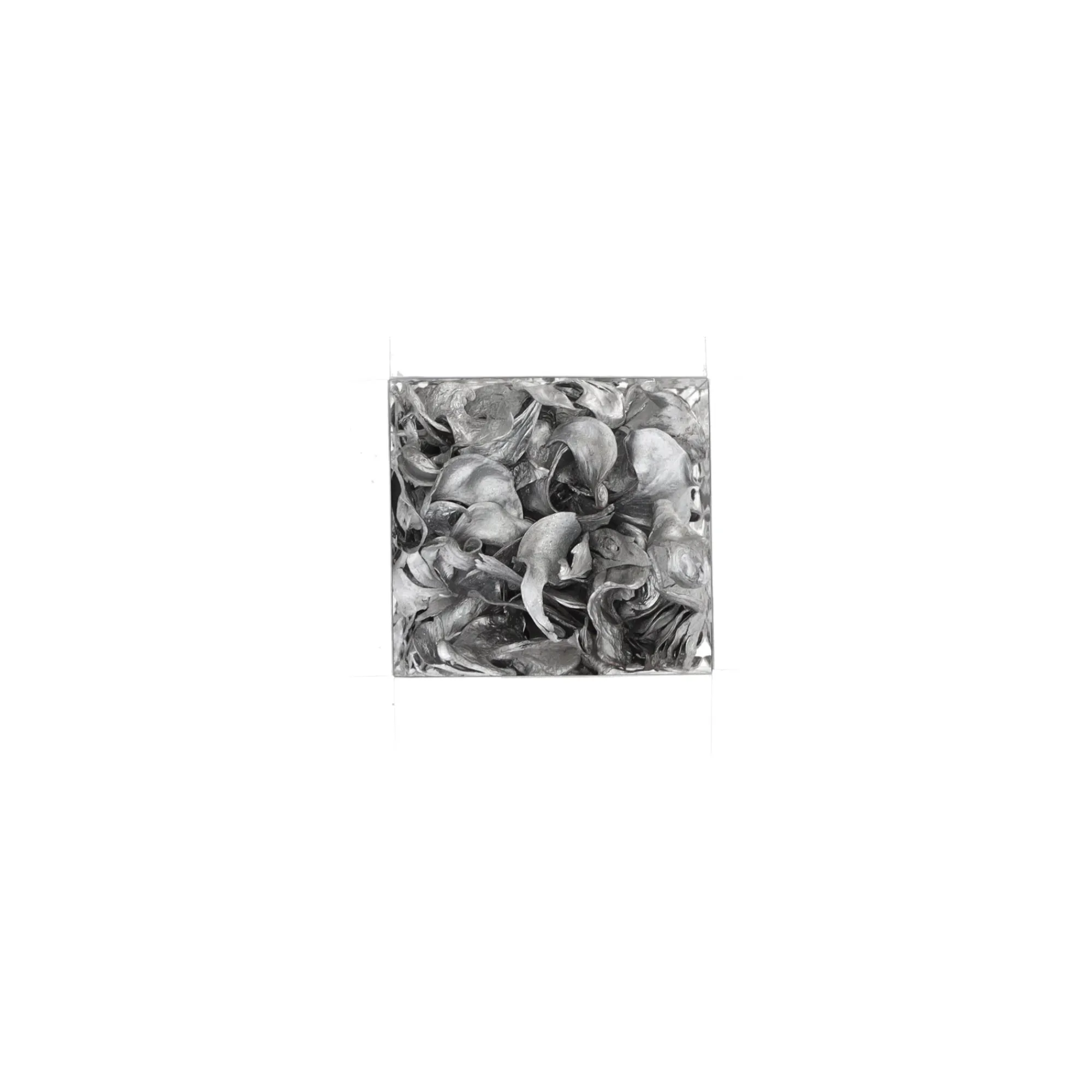 Natural Collections Woondecoratie>Exotische mix natuur zilver 6 x 6 x 14 cm 6 assorti
