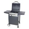 Gasbarbecues>Gasbarbecue Winsconsin