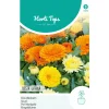 Horti Tops Moestuin>Goudsbloem Fiesta Gitana Mix