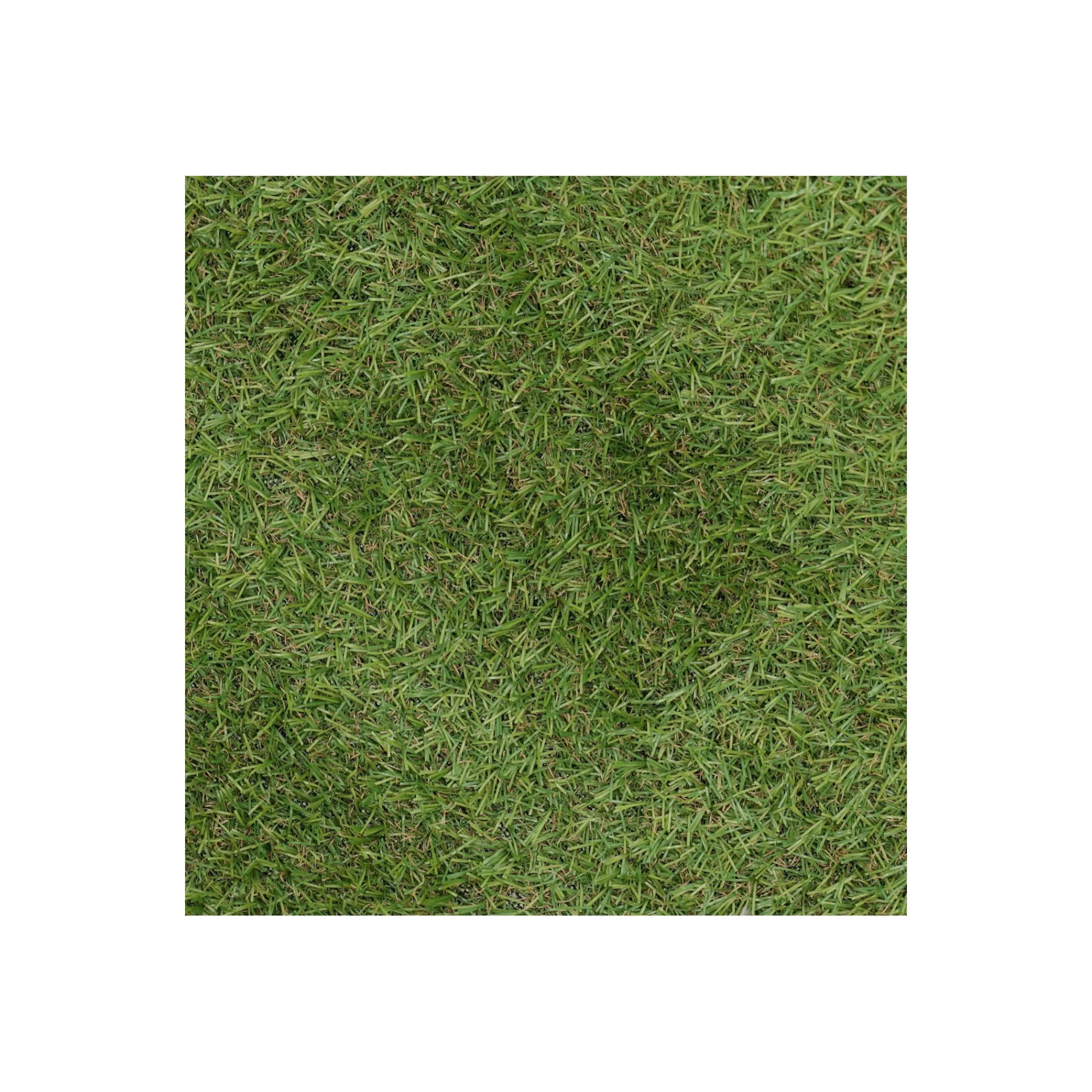 Bel Garden Grondbedekking>Grastapijt Carrow Road 1x2M