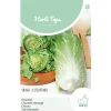 Horti Tops Moestuin>Groenlof vroege zelfsluitende
