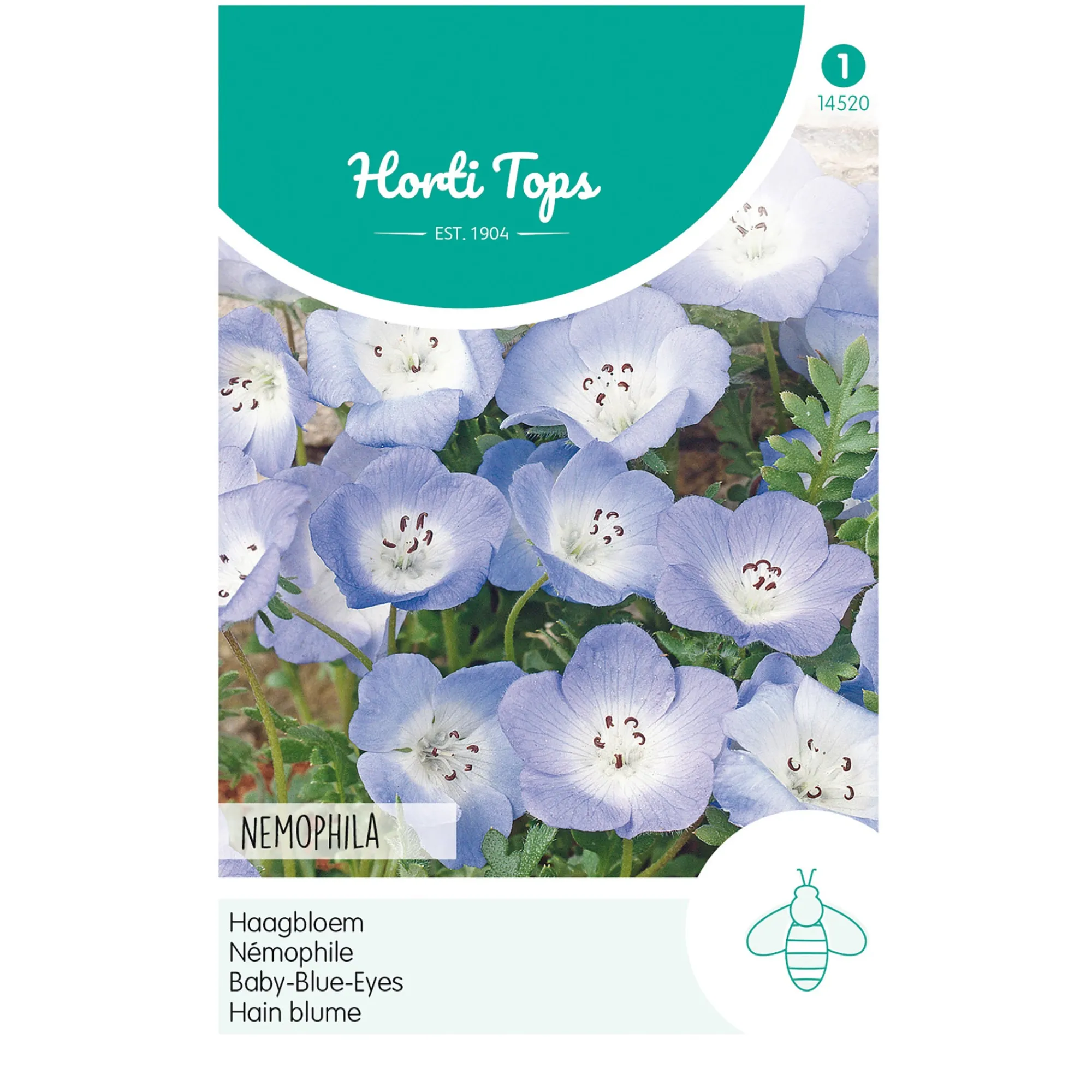 Horti Tops Moestuin>Haagbloem hemelsblauw