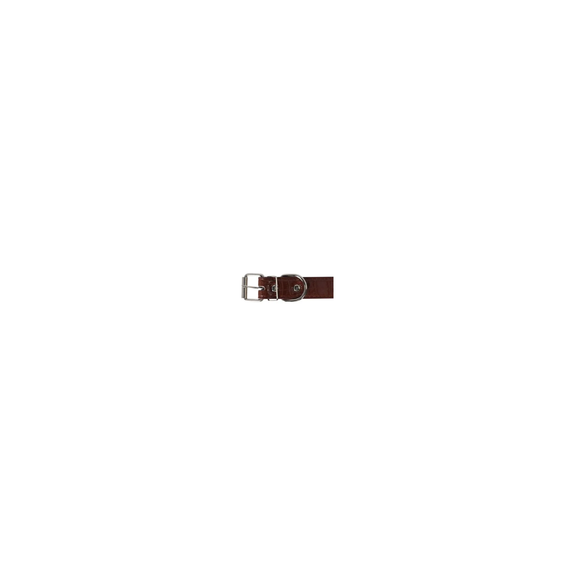 Friendly Pet Hondenriem>Halsband hond 50cm assorti