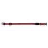 Karlie Flamingo Hondenriem>Halsband LED Vaalo RD 20mm 40-55cm