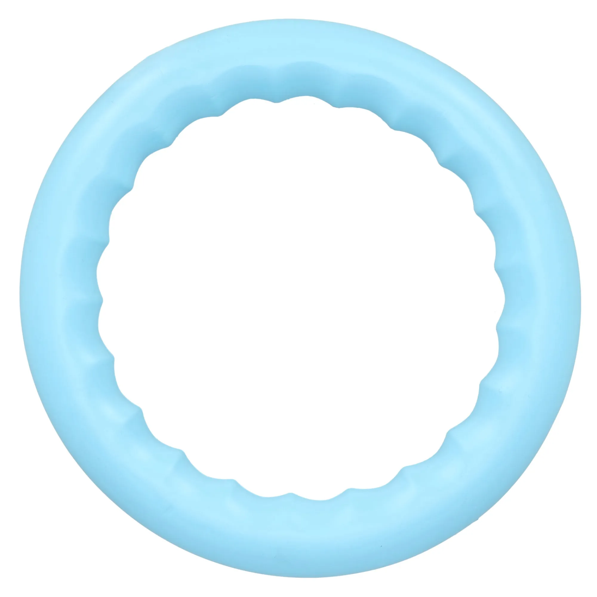 Friendly Pet Hondenspeelgoed>Hondenspeelgoed apporteerring drijf 28cm