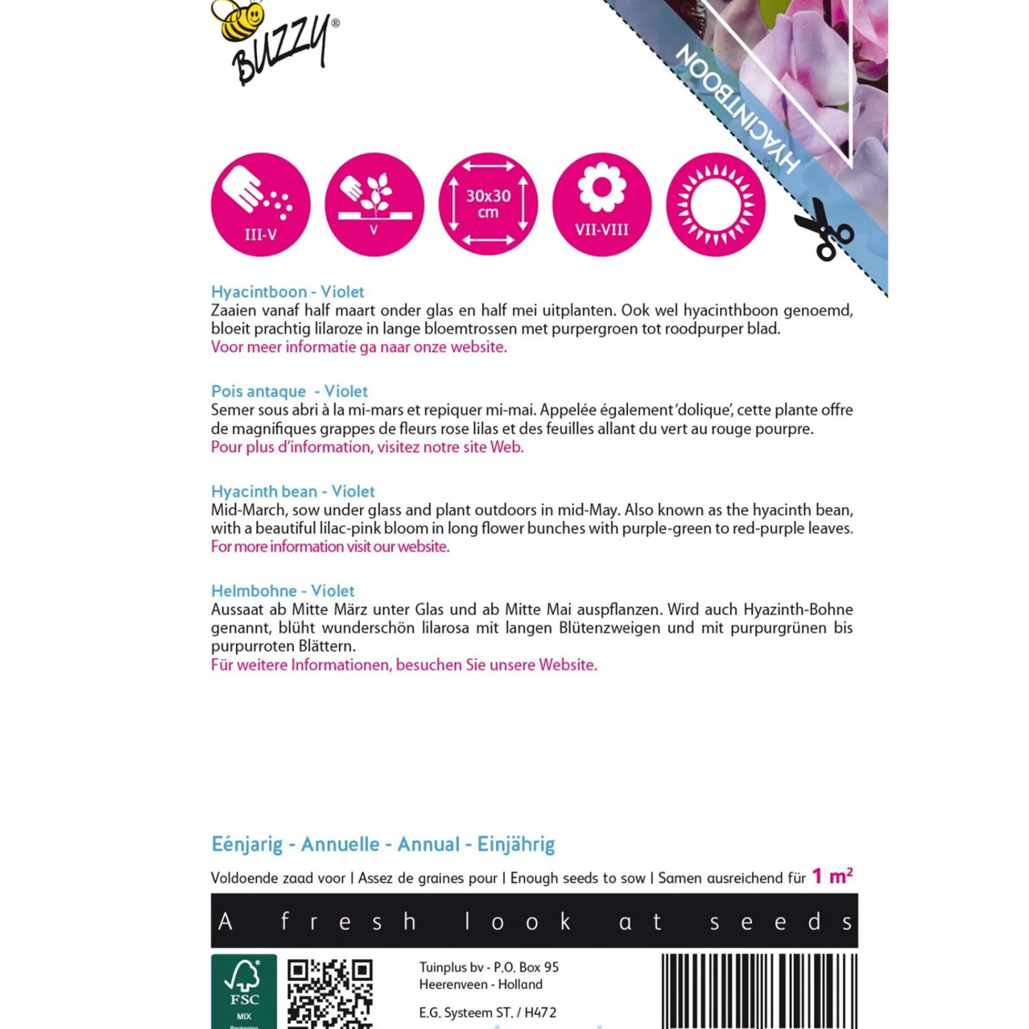 Buzzy Moestuin>Hyacinthboon