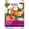 Buzzy Moestuin>IJslandse Papaver mix