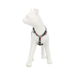 Friendly Pet Kattenverzorging><noscript><img width=