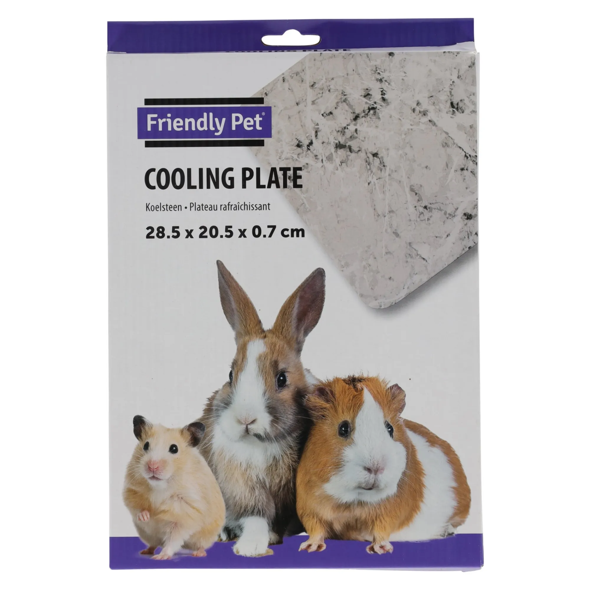 Friendly Pet Knaagdierverzorging>Koelsteen 28 x 20 cm