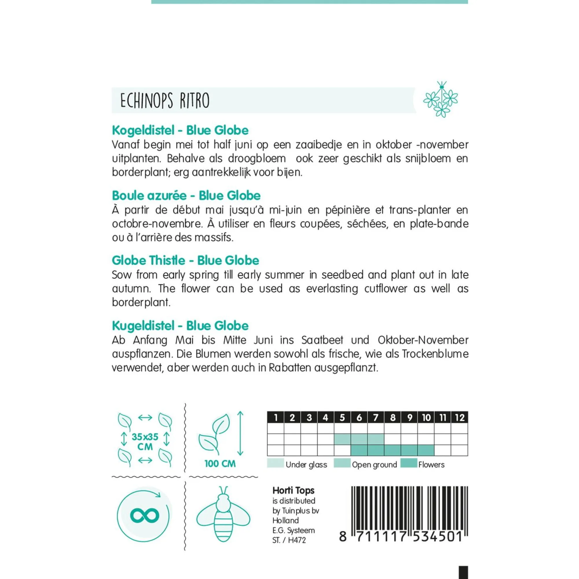 Horti Tops Moestuin>Kogeldistel Blue Globe