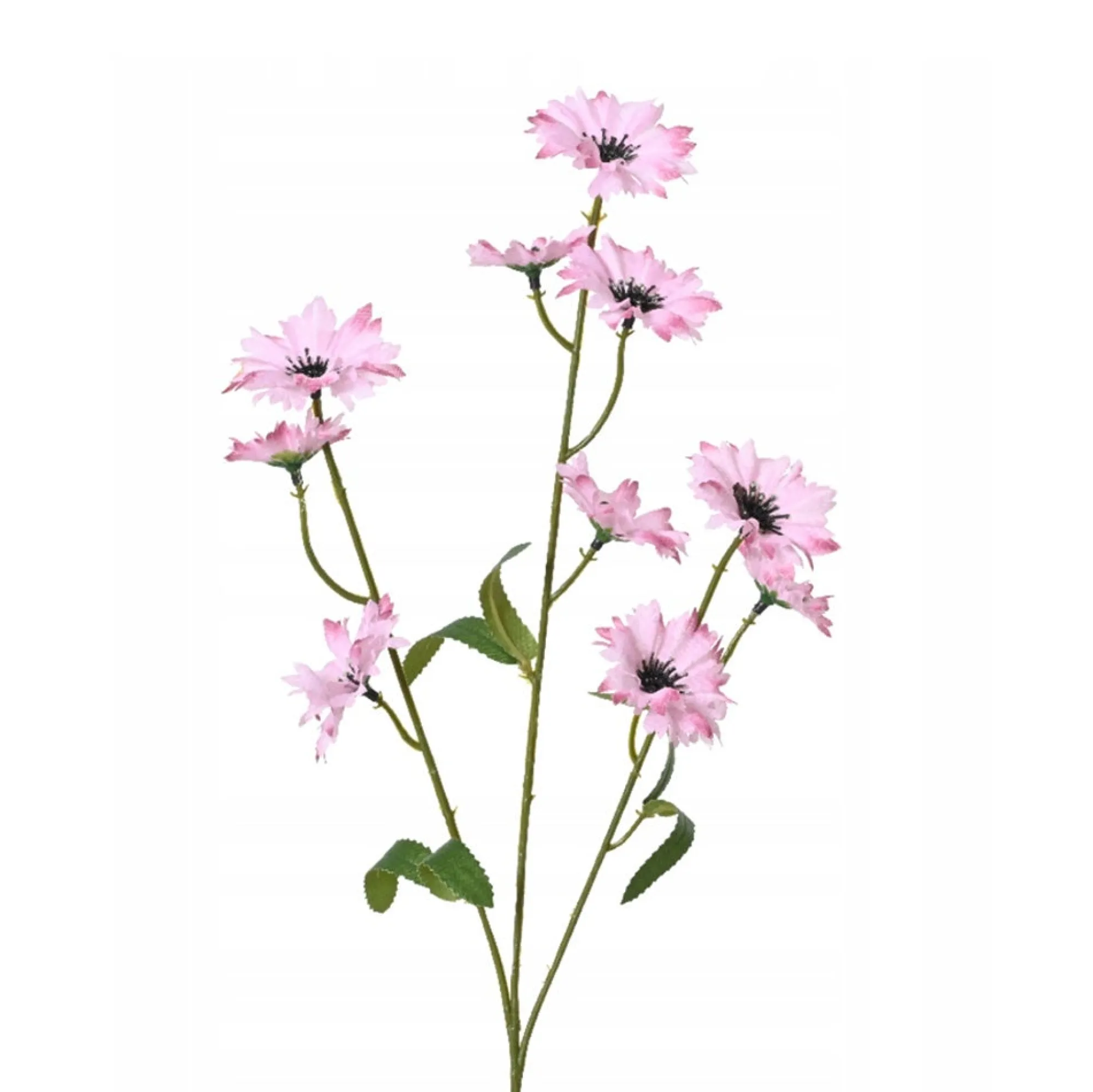Everlands Kunstplanten En Kunstbloemen>Korenbloem roze 55 cm