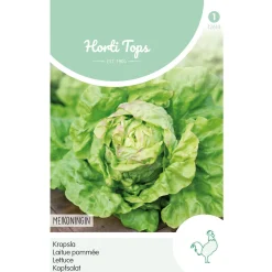 Horti Tops Moestuin>Kropsla Meikoningin