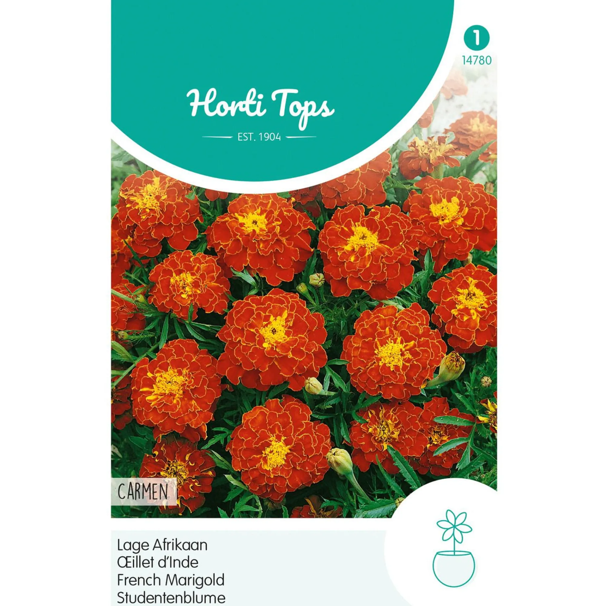 Horti Tops Moestuin>Lage Afrikaan Carmen