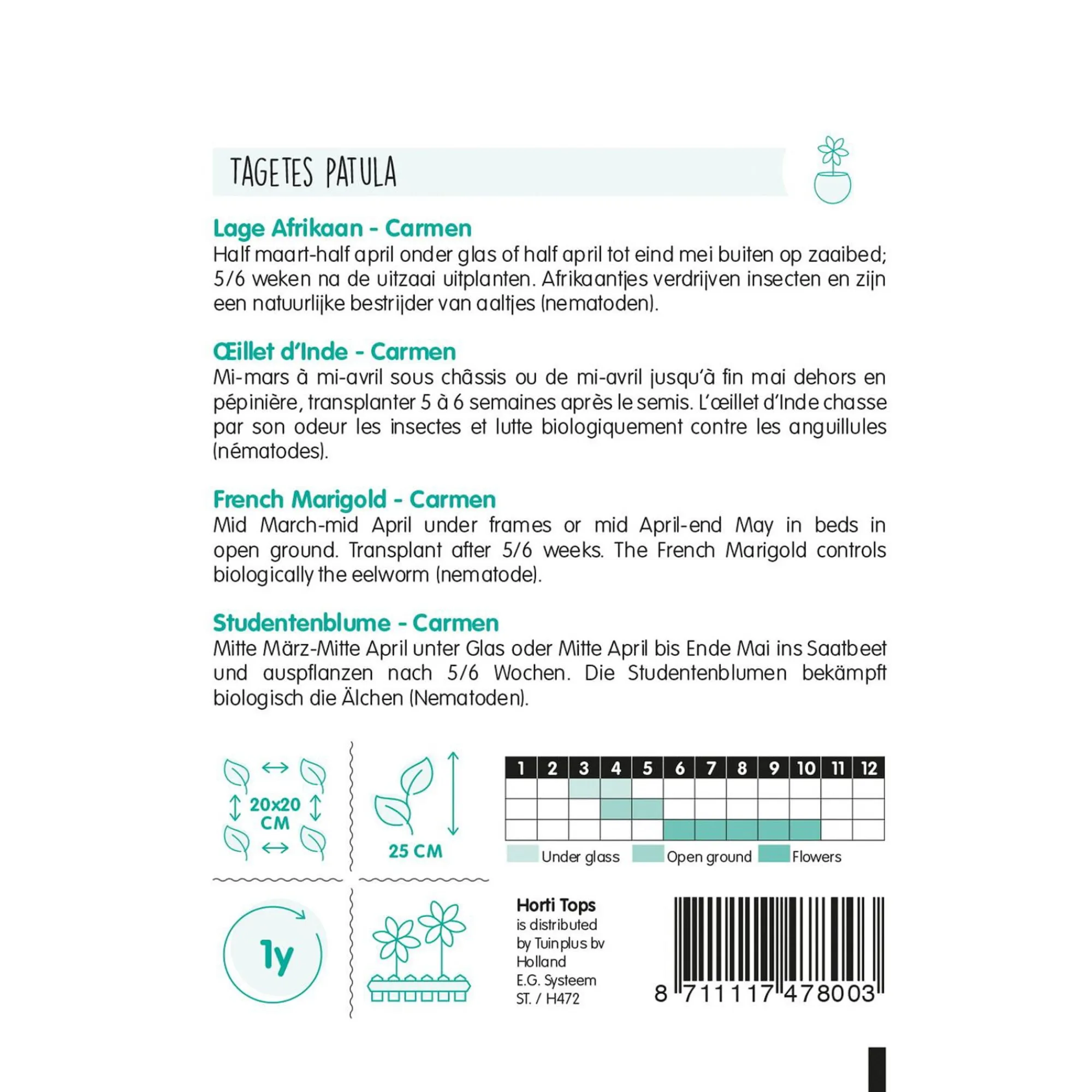 Horti Tops Moestuin>Lage Afrikaan Carmen