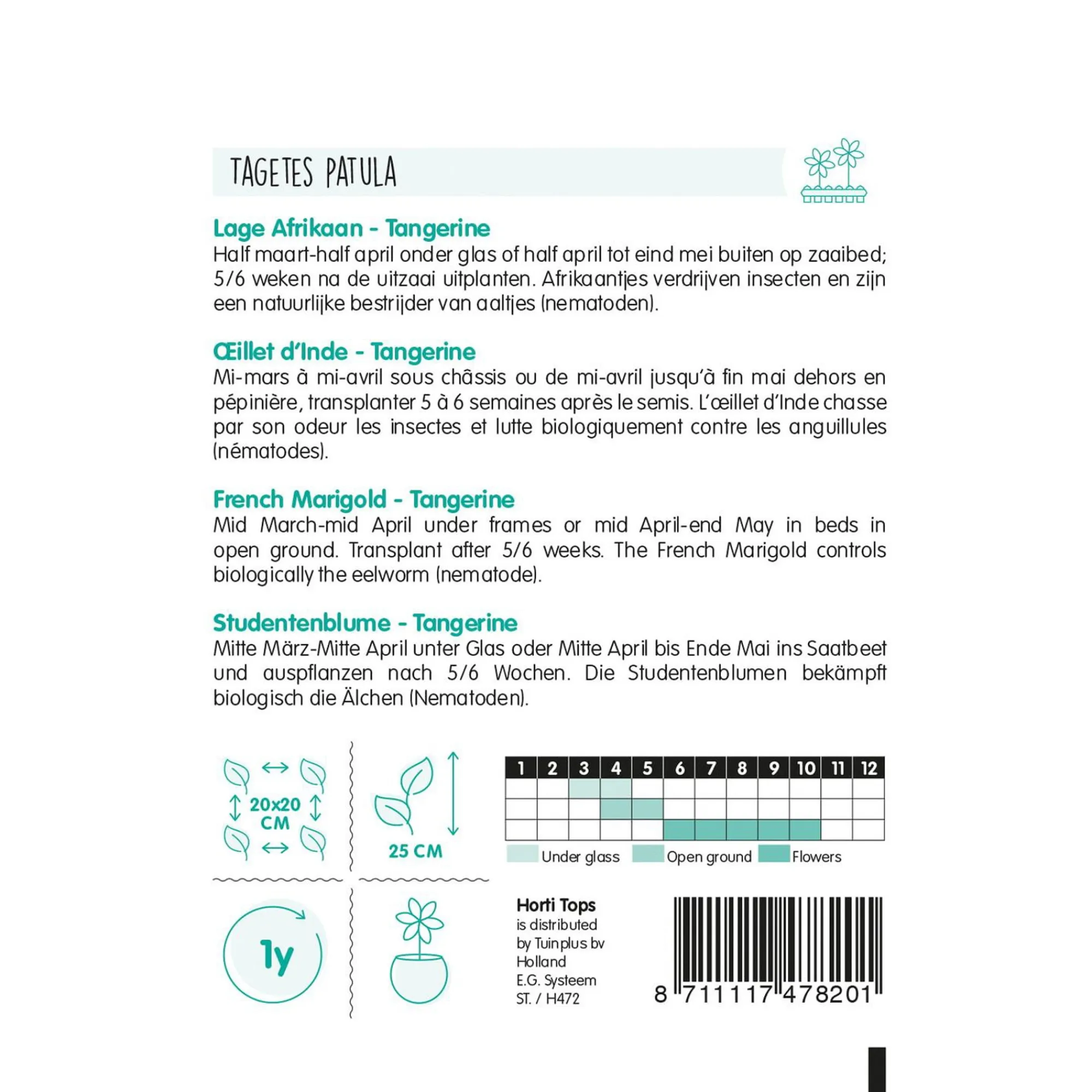 Horti Tops Moestuin>Lage Afrikaan Tangerine
