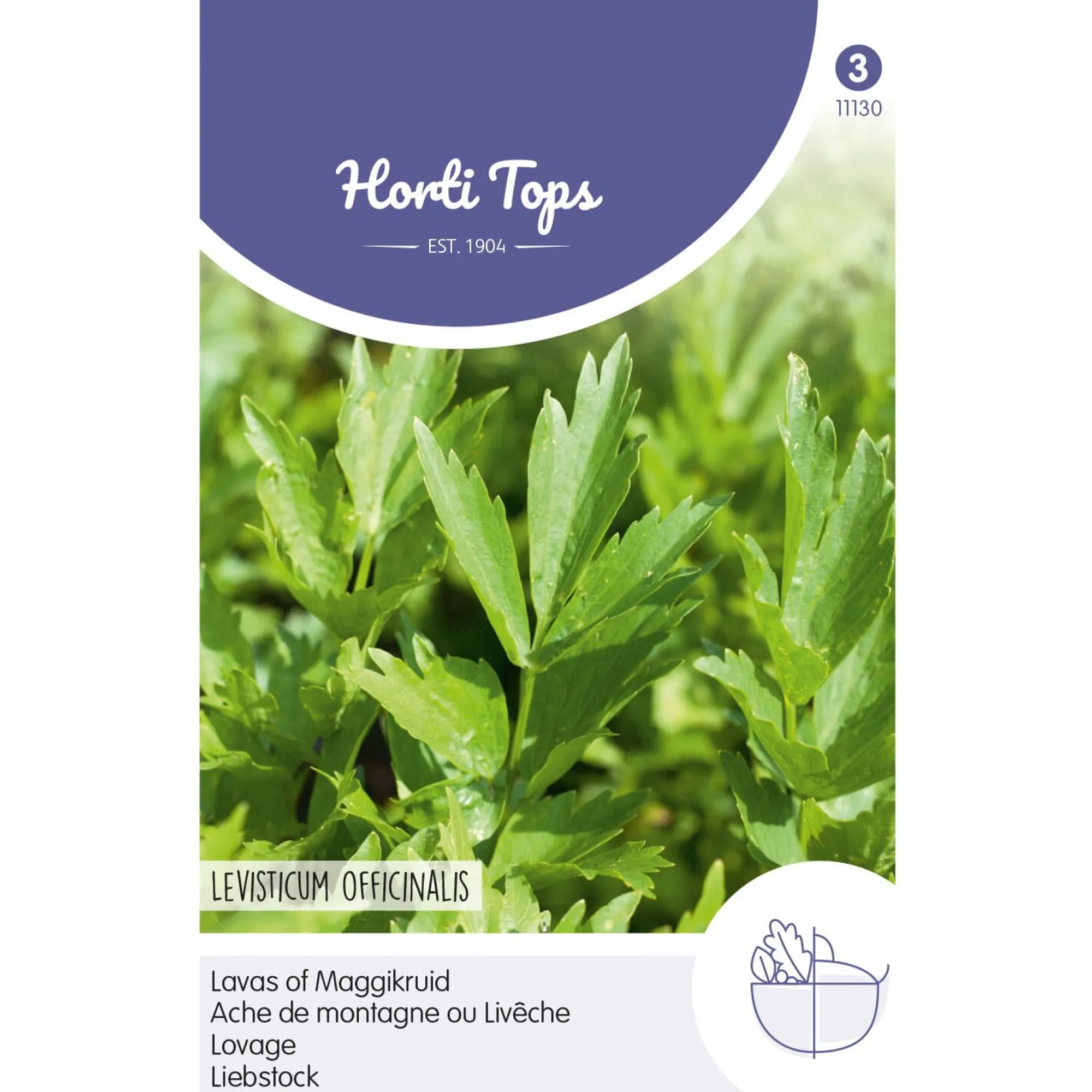 Horti Tops Moestuin>Lavas / maggikruid zaad