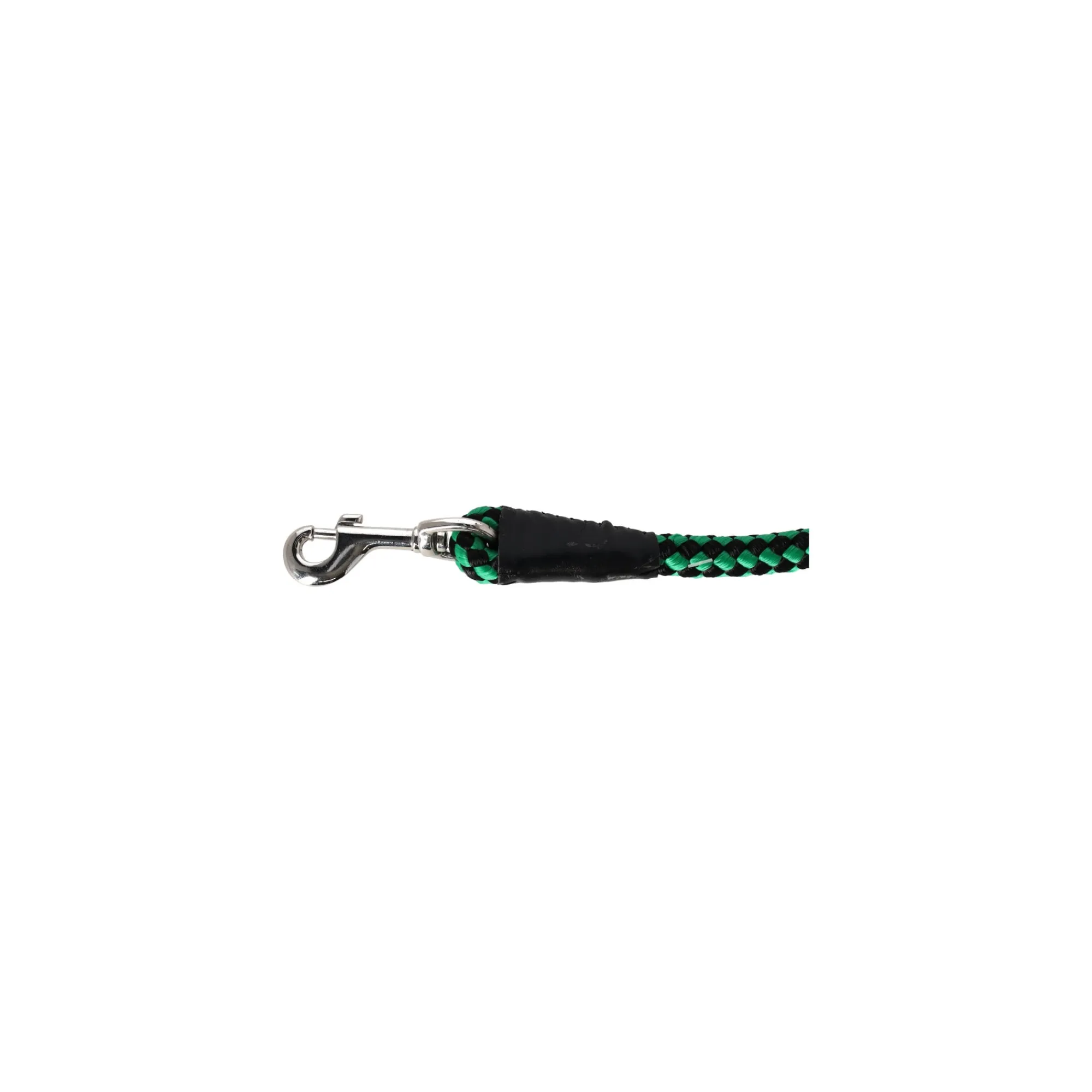 Gebr. de Boon Hondenriem>Looplijn nylon groen 15mm 75cm