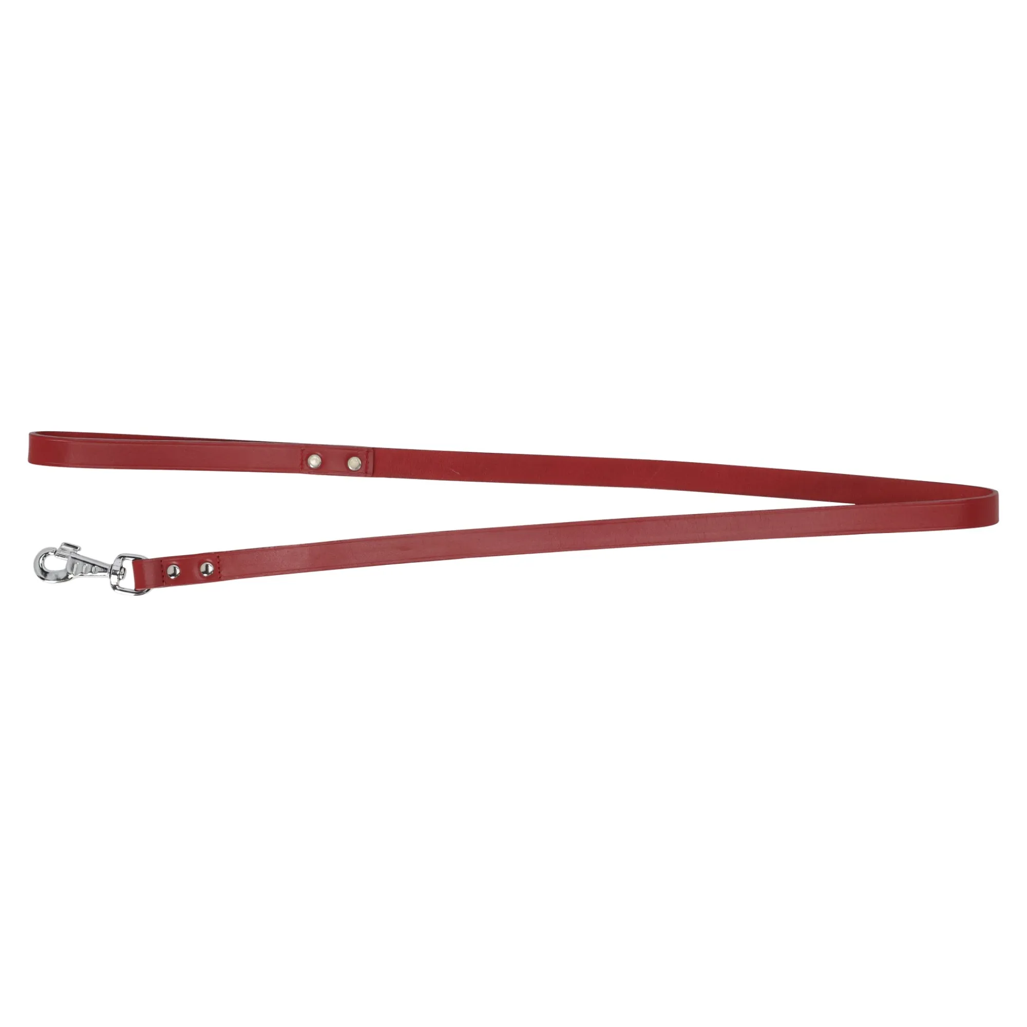 Hondenriem>Looplijn Seattle rood 130cm 20mm