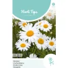 Horti Tops Moestuin>Margriet May Queen