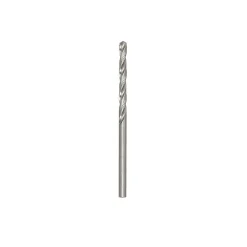 Rex Toebehoren Elektrisch Gereedschap>Metaalboor steelmaster-HSS 3.0 mm 2st.