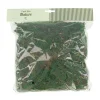 Natural Collections Woondecoratie>Mos groen 100g